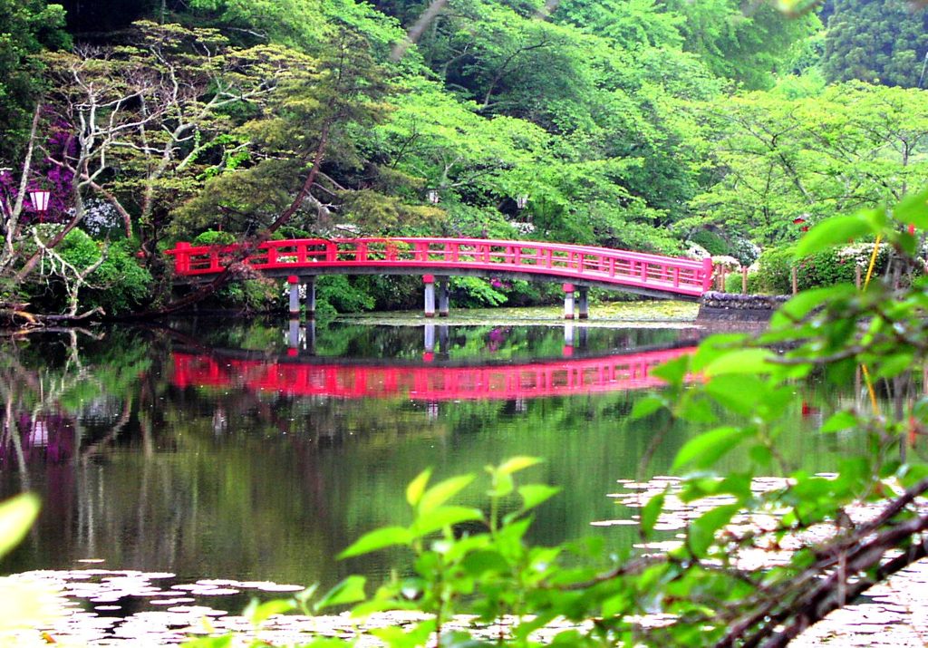 2010-05-11　茂原公園　08