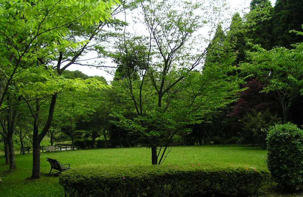 2010-05-30 東金34