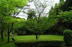 2010-05-30 東金34
