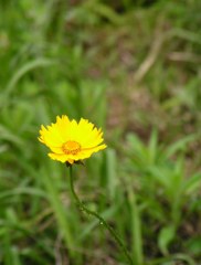 2010-05-27隣近所2