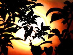 夕焼け（レタッチ）