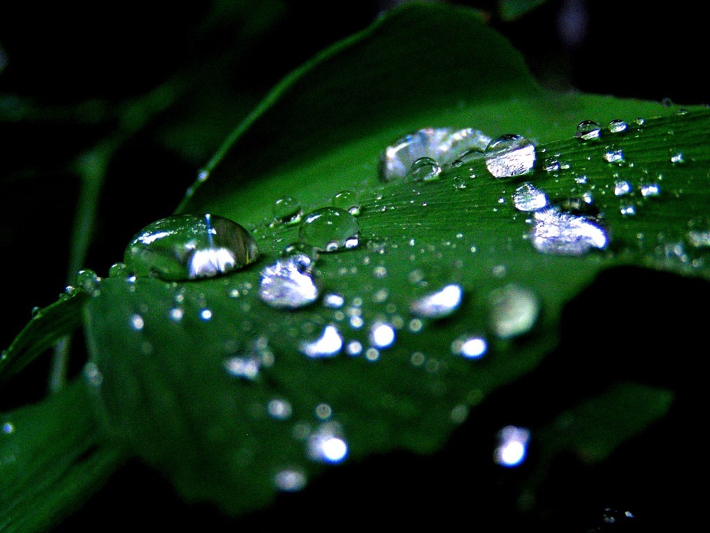 2010-05-24 水宝石1