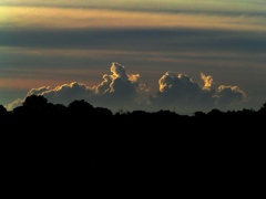 2010-07-29 雲1
