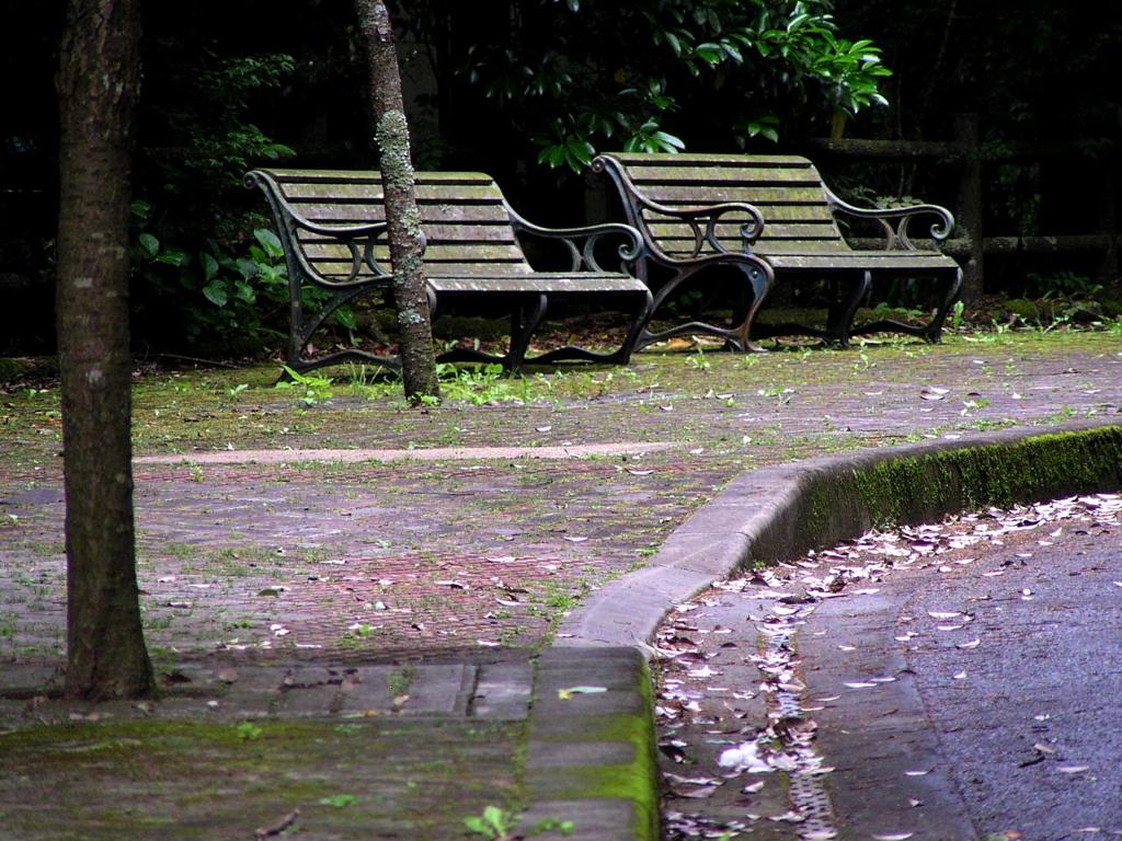 2010-05-30 東金33