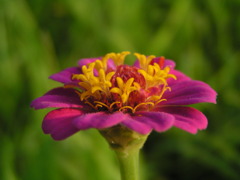 P1010062