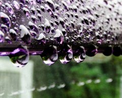2010-05-24 水宝石6