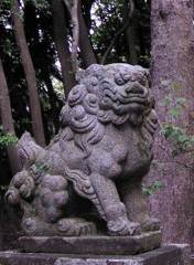 2010-05-30 東金24