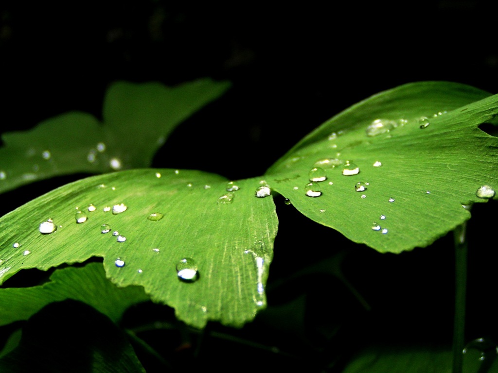 2010-05-27隣近所4
