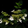 2010-05-30 東金37