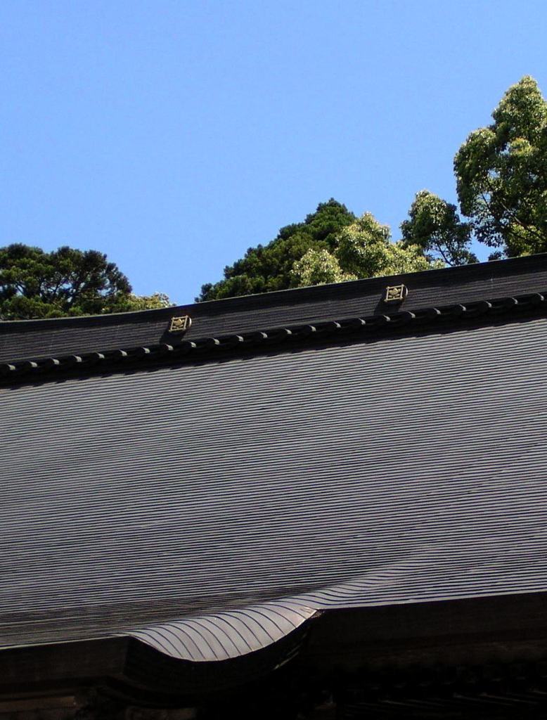 2010-06-04 東金市八鶴湖周辺14