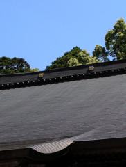 2010-06-04 東金市八鶴湖周辺14