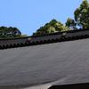 2010-06-04 東金市八鶴湖周辺14