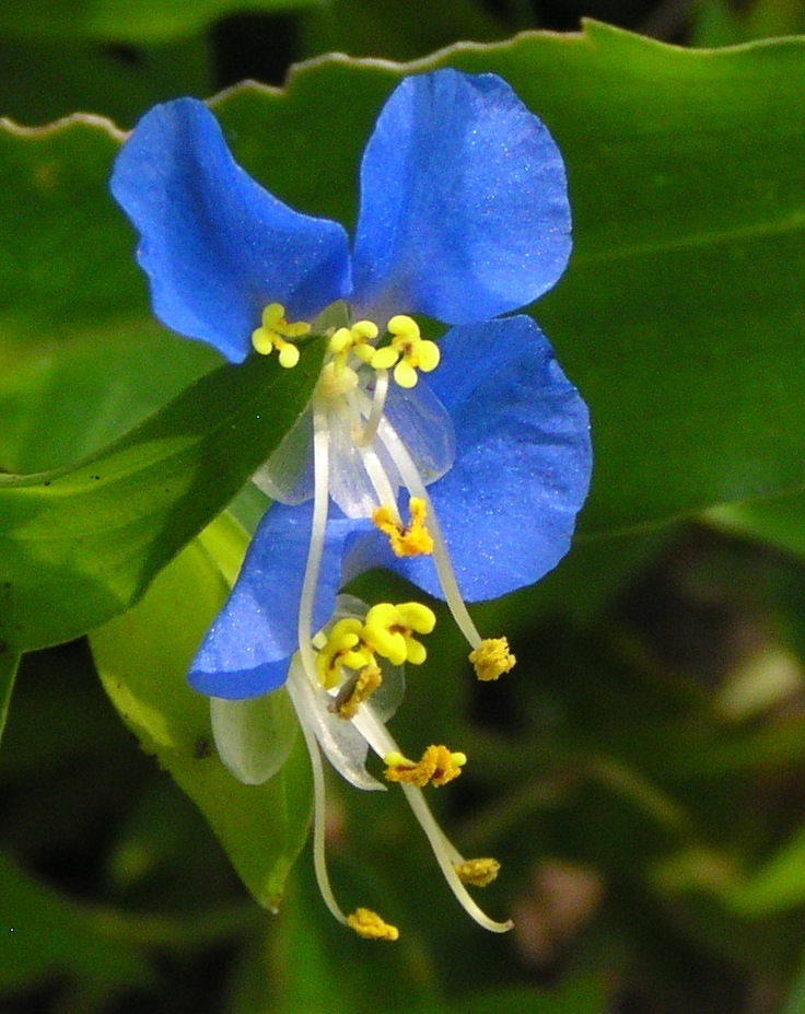 2010-08-01 (31)