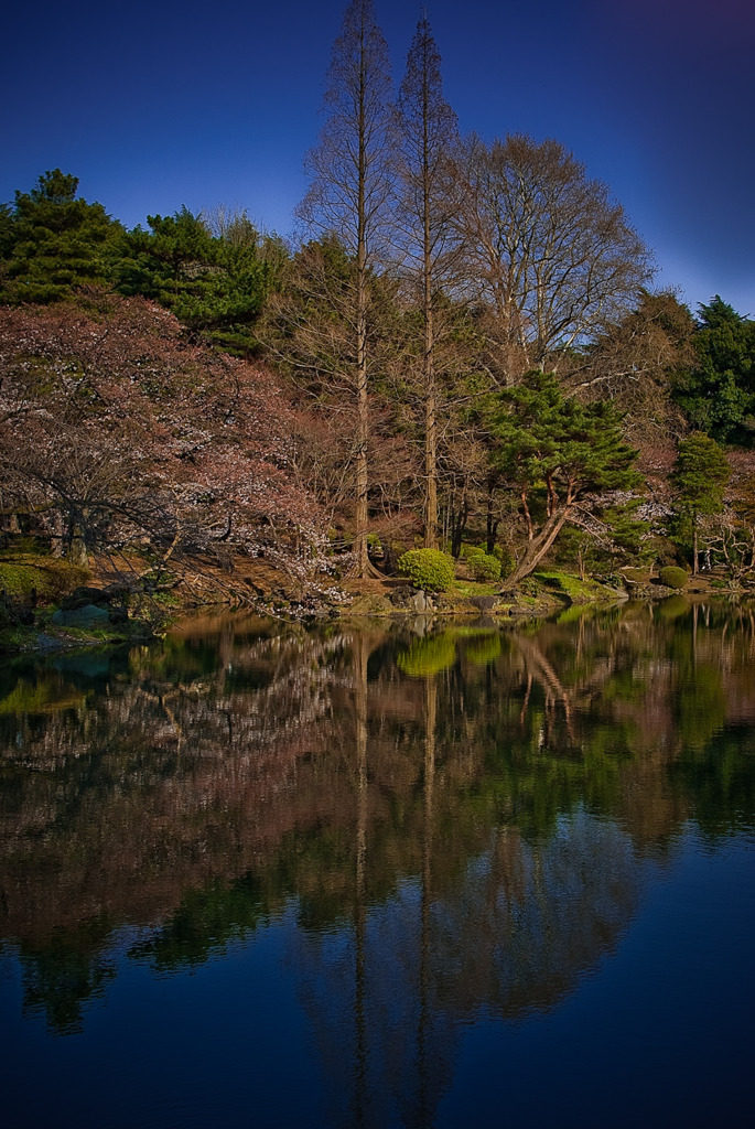 シンメトリー