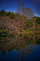 シンメトリー