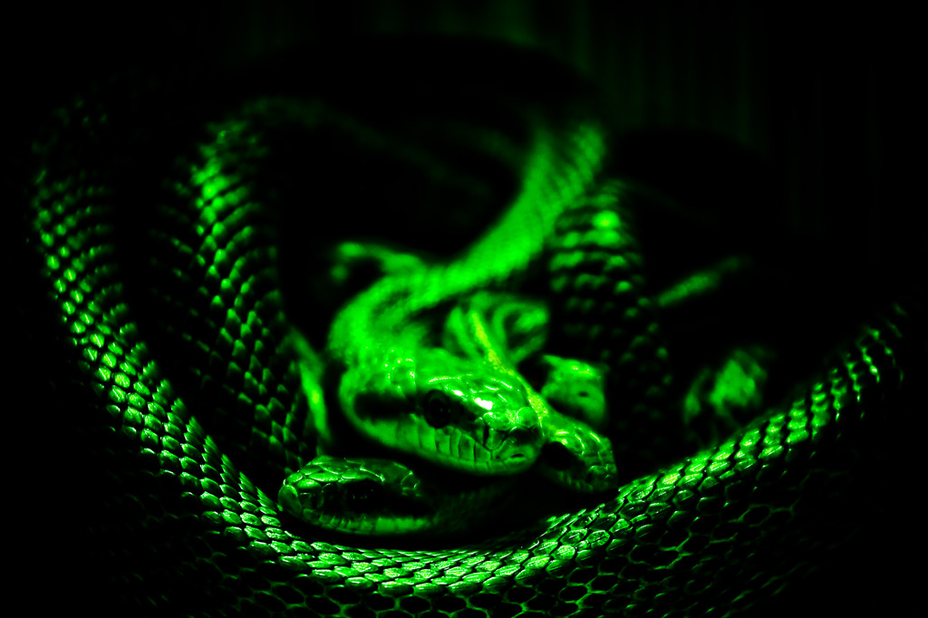 Green Snake