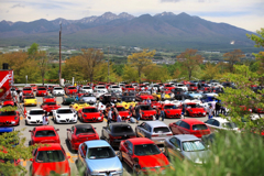 30周年記念 Alfa Romeo DAY