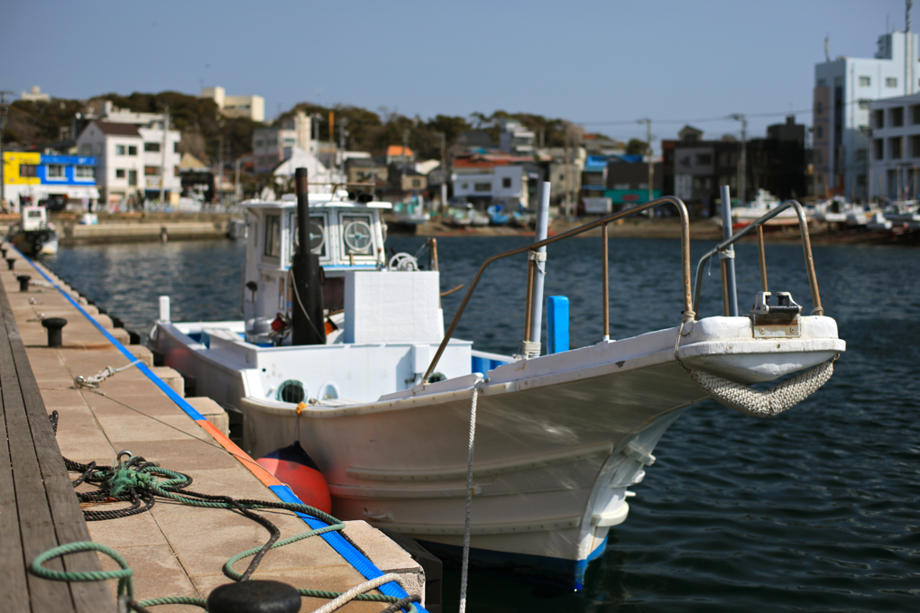 三崎港にて