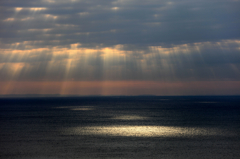 スポットライト