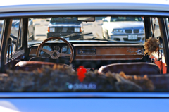 師走の朝の集会03