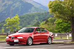 緑の中の真っ赤なAlfa