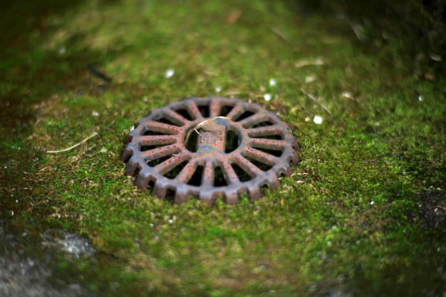 プラナーT＊85mm開放テスト2