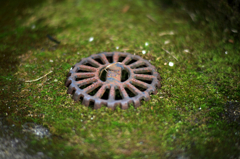 プラナーT＊85mm開放テスト2