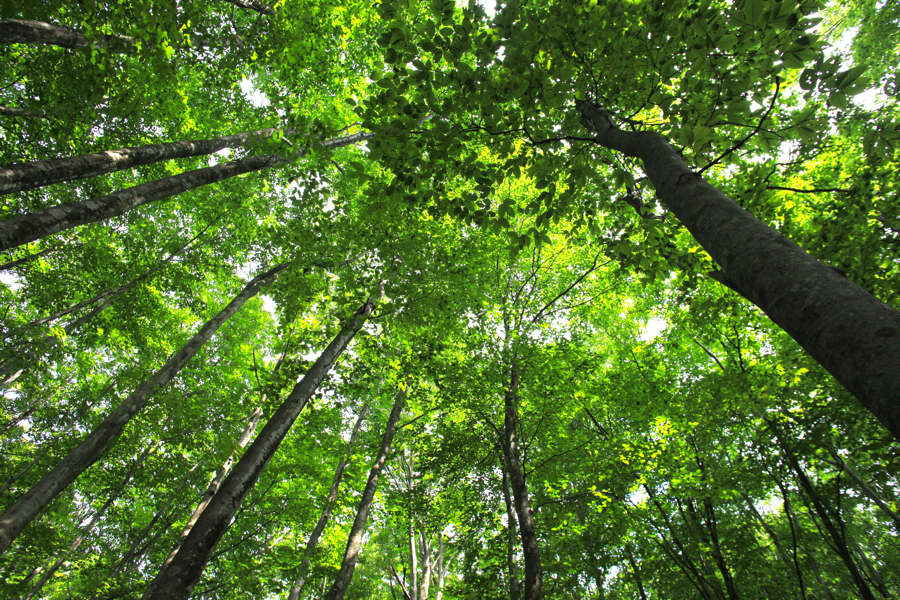 大人の林間学校06