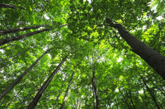 大人の林間学校06