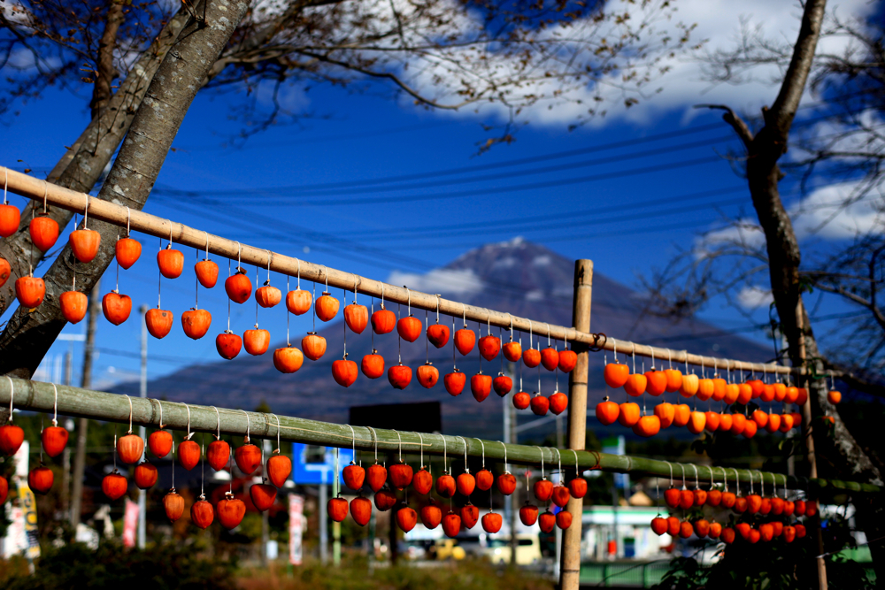 富士見柿