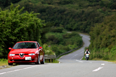 緑のワインディング