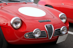 ALFA100th07