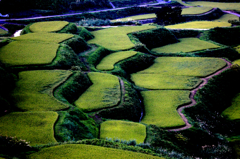 大人の林間学校02