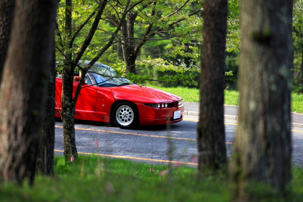 緑の中を…（PART2）