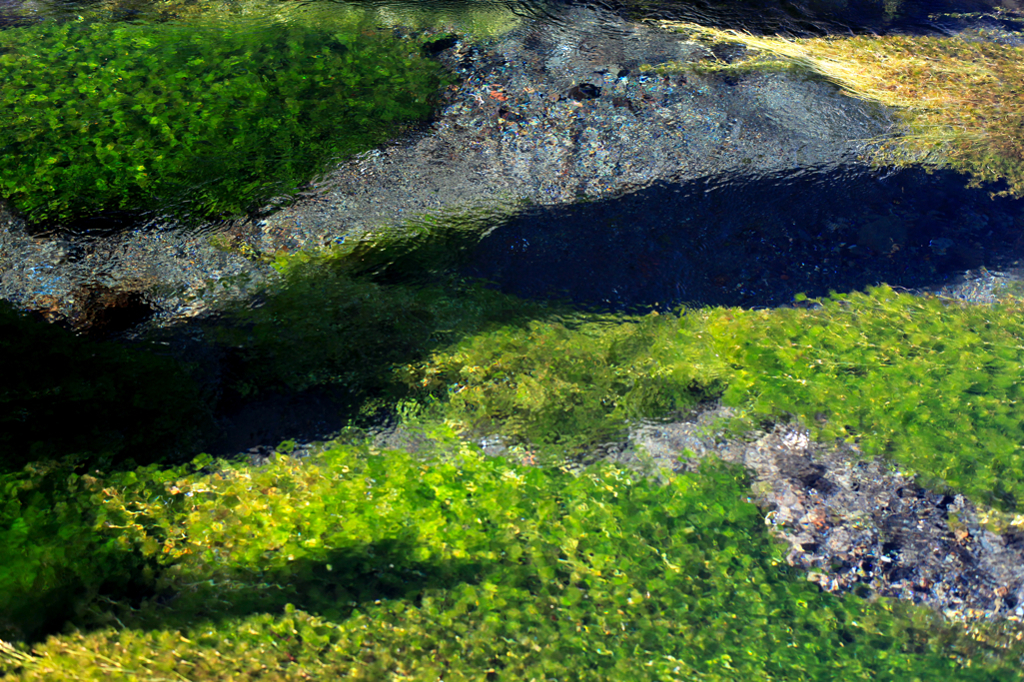 清流絵画の如し