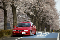 2011桜咲く03