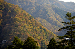 錦秋の山々