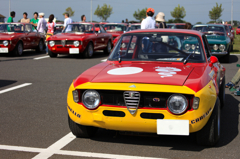ALFA100th04