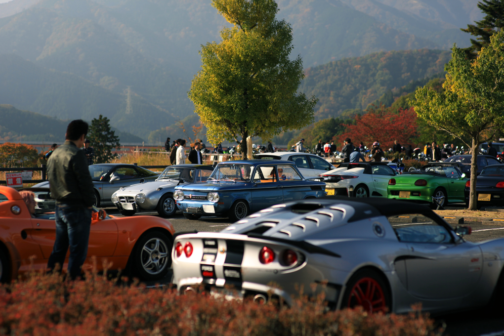 秋色の駐車場