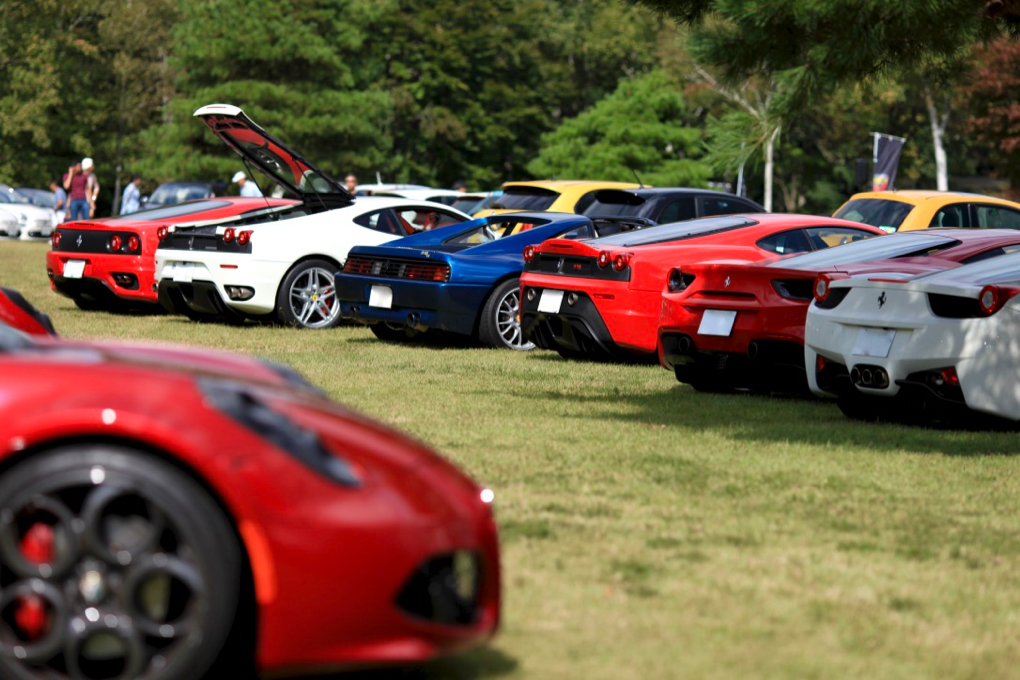 フェラーリのオシリ