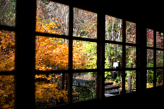 天然ステンドグラス