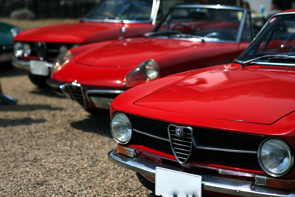 Rosso Alfa