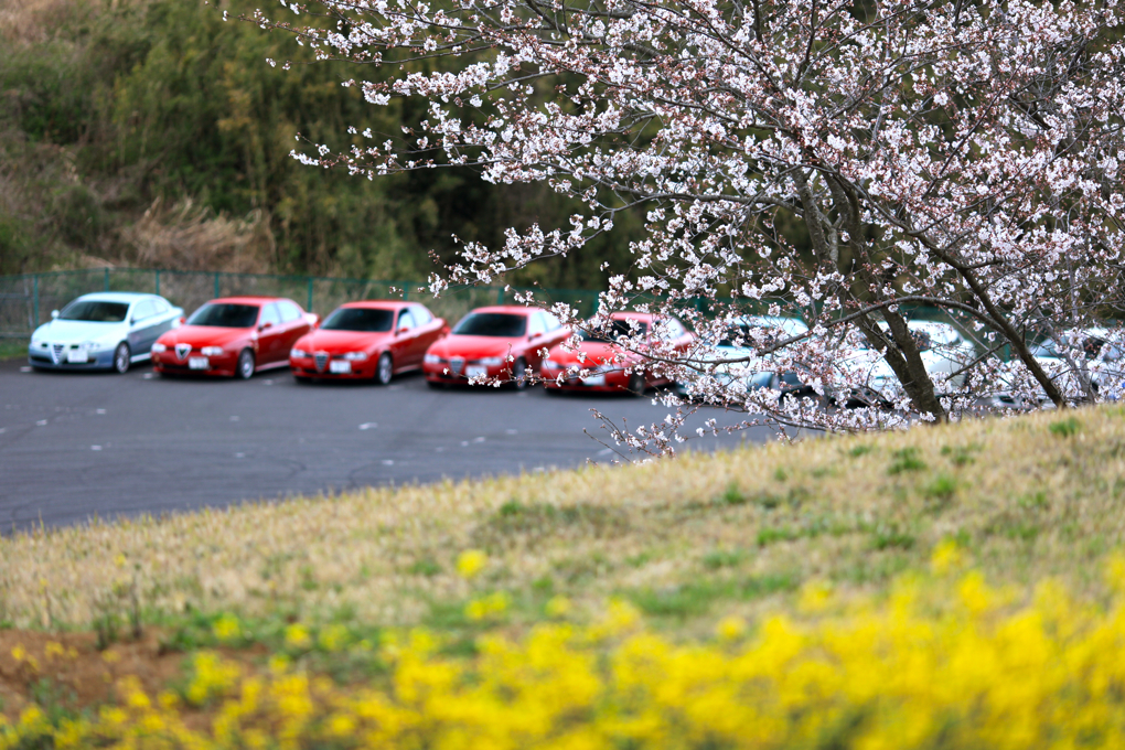 春うららツーリング