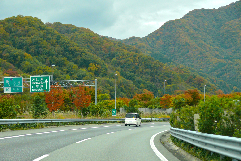 紅葉ドライブ
