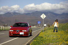 タンポポと山々