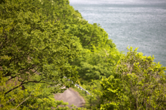 グリーングリーン