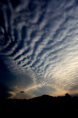 羊雲