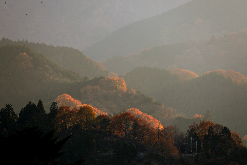 宮ヶ瀬の紅葉03