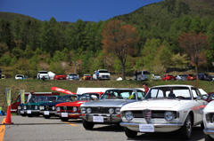 ジュリア生誕50周年特別展示