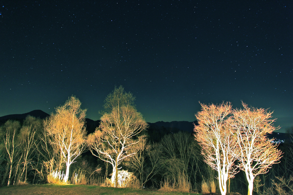 高原の夜